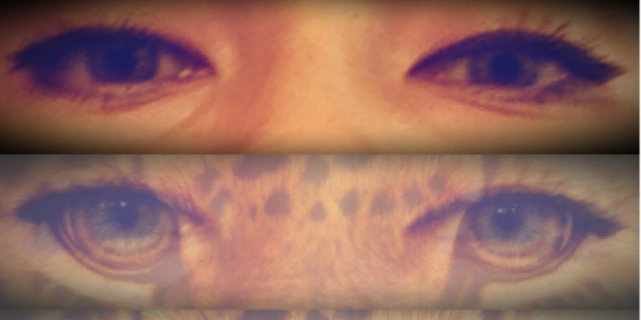 NrnNzr's profile banner image