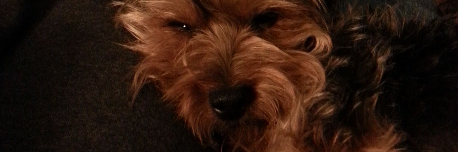WarrenSorich's profile banner image
