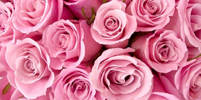 celiaaagonzalez's profile banner image