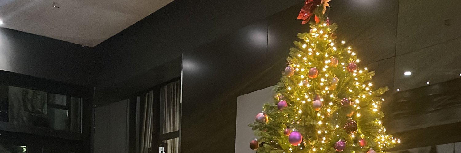 Alous_01's profile banner image