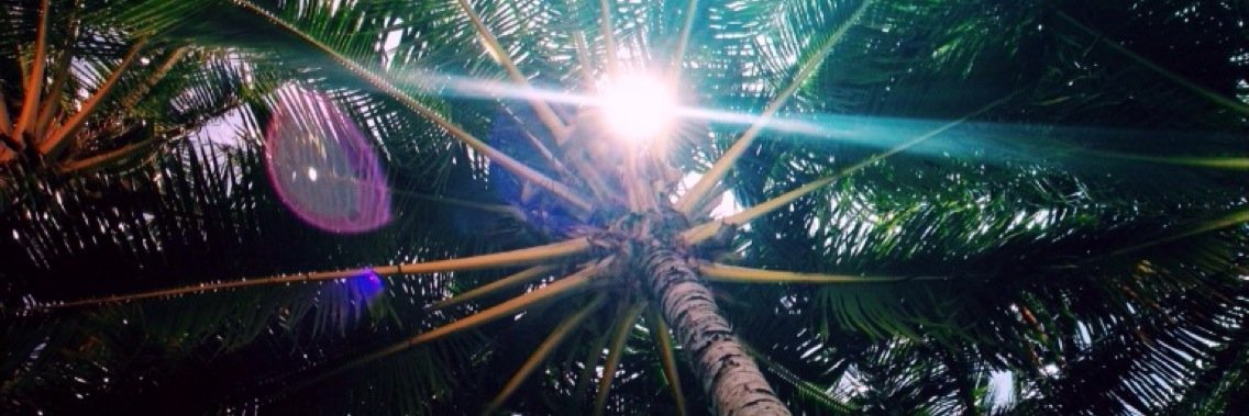 xo_lar's profile banner image