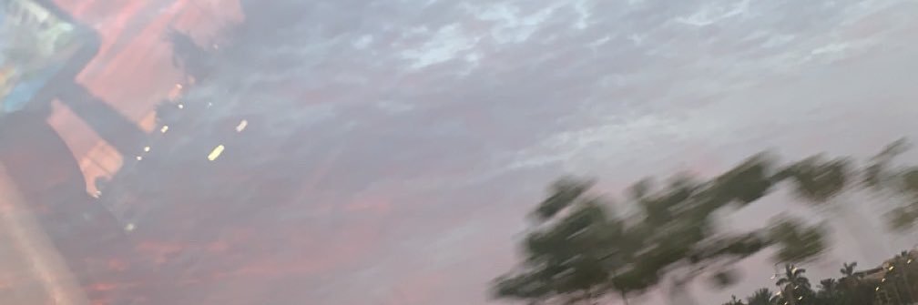 mileyscactus's profile banner image
