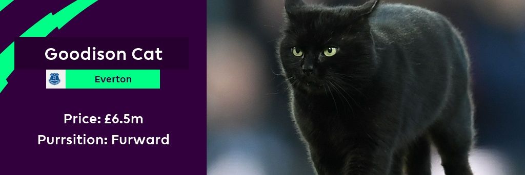 Novandiet's profile banner image