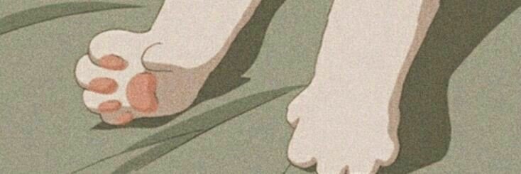 𝒅𝒊𝒐𝒏, close banner