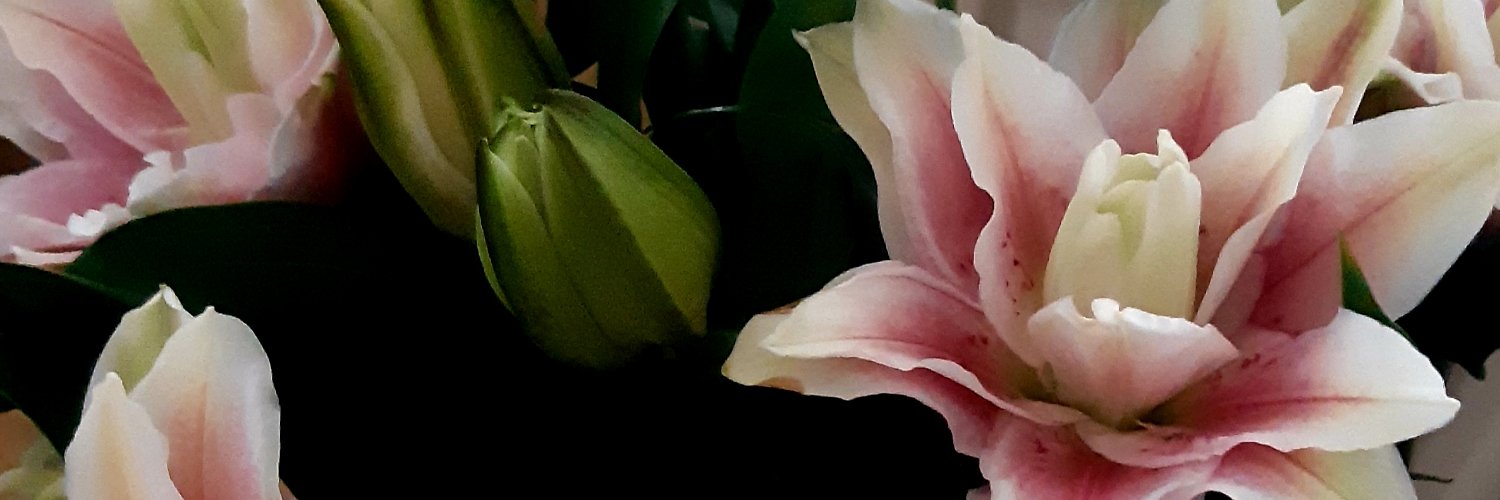Mezza1976's profile banner image