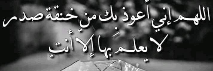 AliMahm36195366's profile banner image