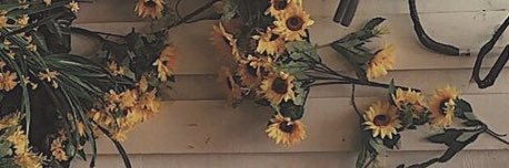 SHJW128's profile banner image