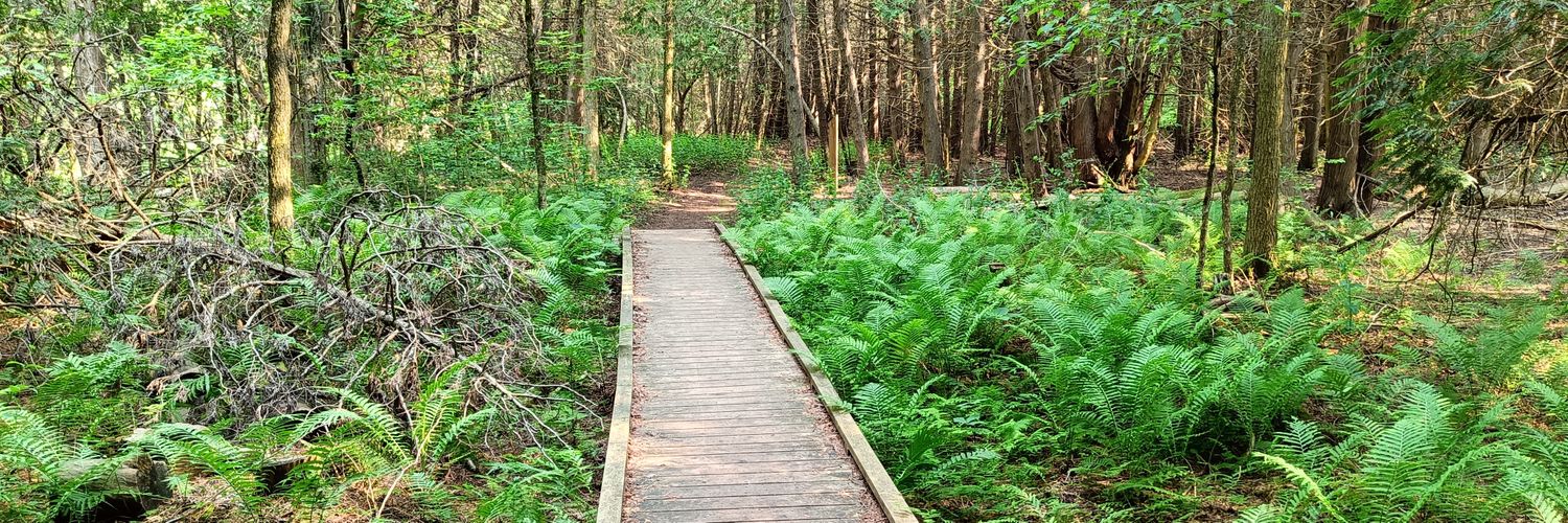 尸̢̖̞͕͉̟̯͎̘͛͘͢͟͢͠ 米͚̪͓̮̜̤̗̠͛͠͝͞͠ banner