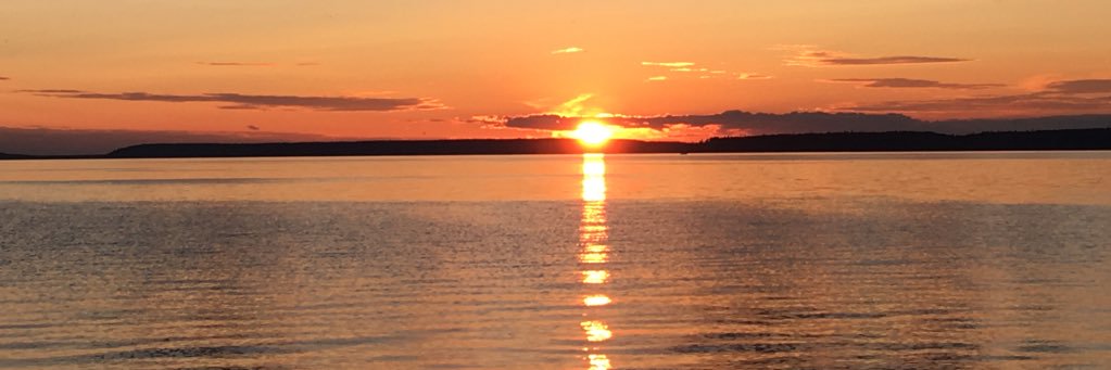 jeff_hals's profile banner image