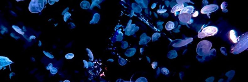 実春 banner