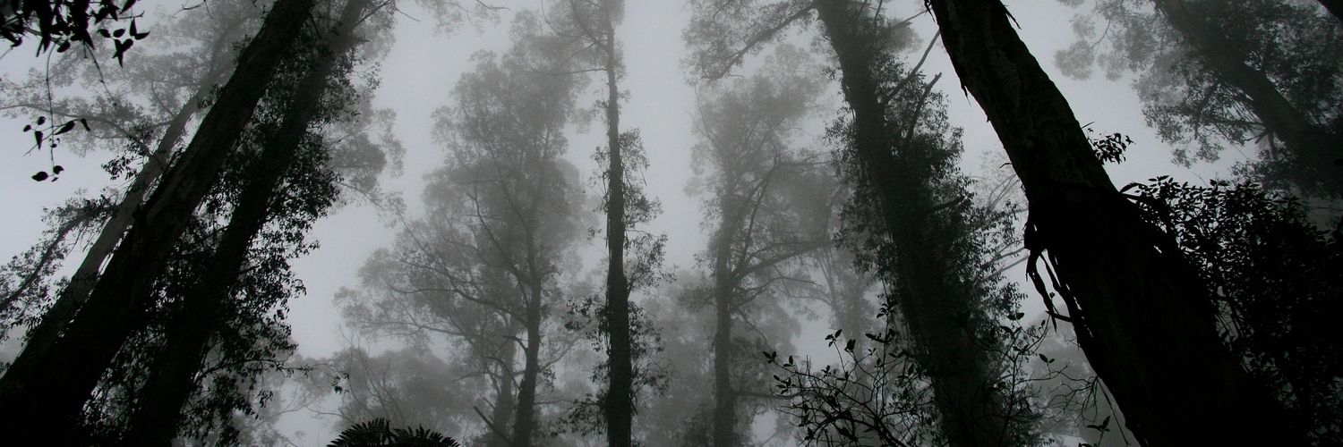 괴담 커뮤 홍보봇 banner