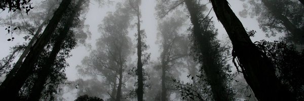 Goedam_commu Profile Banner