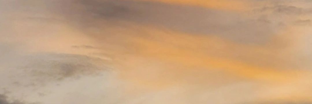 luvleaves_'s profile banner image