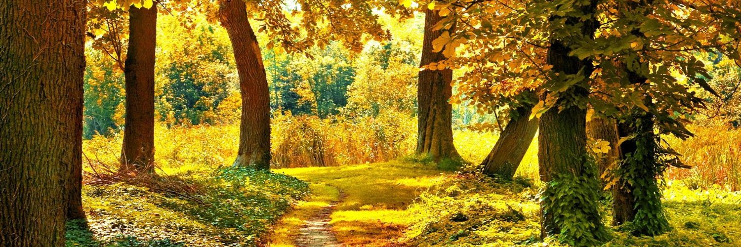 Carolyn Spring banner