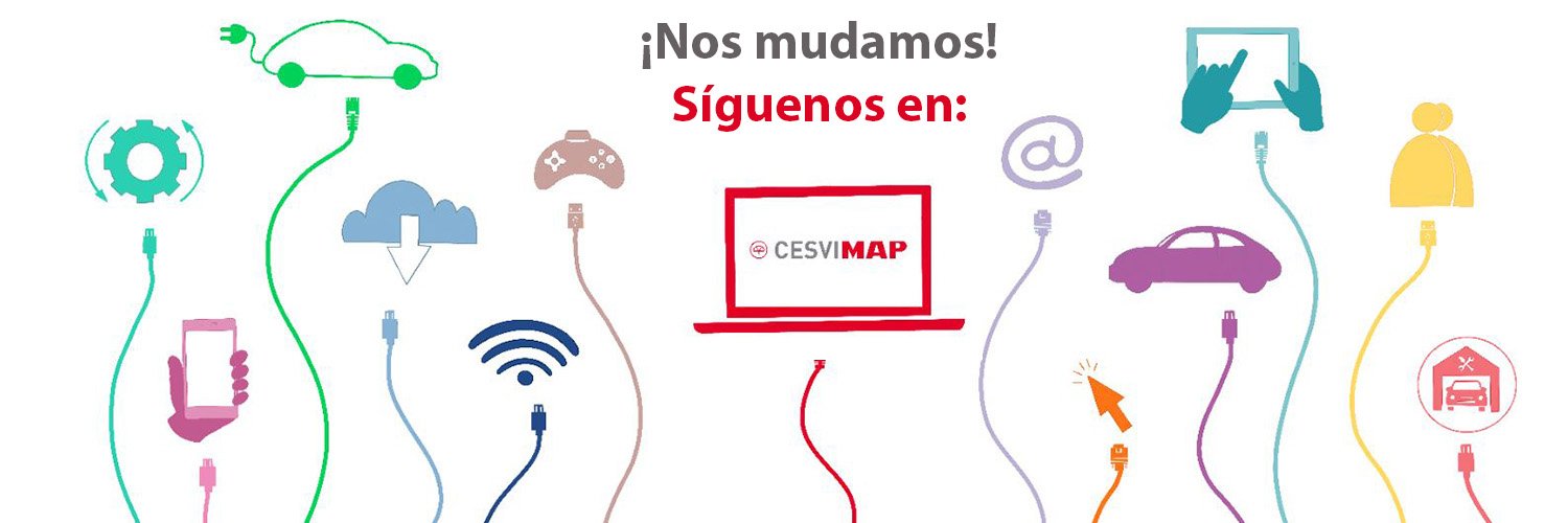 Revista Cesvimap banner