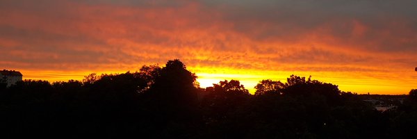 danjosefsson Profile Banner