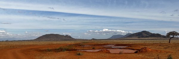 BTWhitehead92 Profile Banner