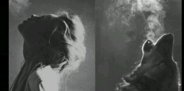 jamie_bis's profile banner image