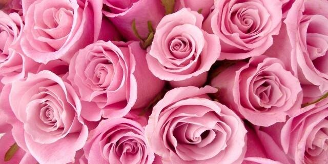 adwijuliantini's profile banner image