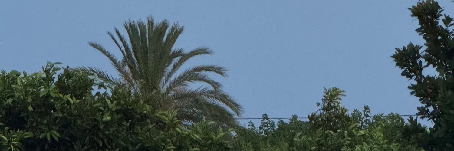 Petru Vlad banner