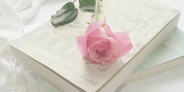 shanayanwar's profile banner image