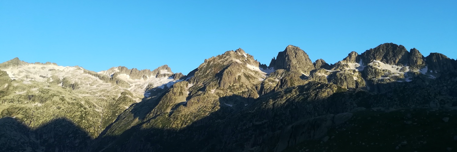 Noelia IR, PhD banner