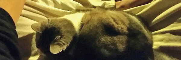 thomas888000 Profile Banner