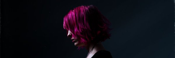 LinnSandin_ Profile Banner