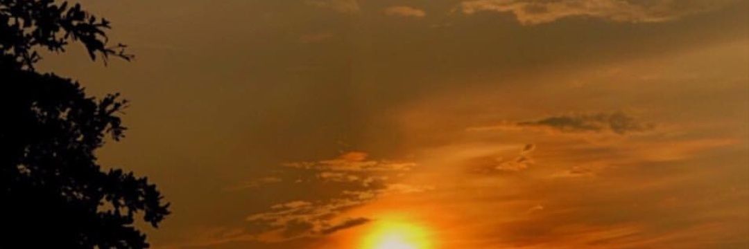 Veealexas's profile banner image