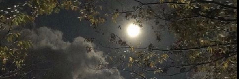 sshatthaa's profile banner image