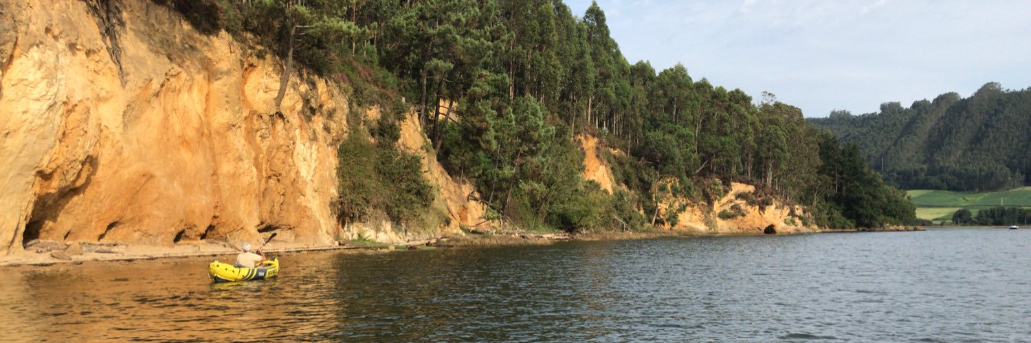 María Bustelo banner