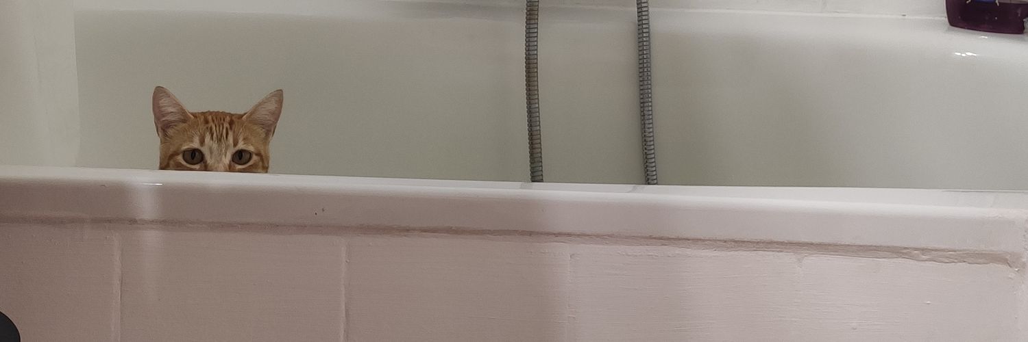 AnaLaura2298's profile banner image
