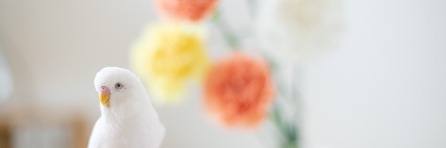 mew_chibi's profile banner image