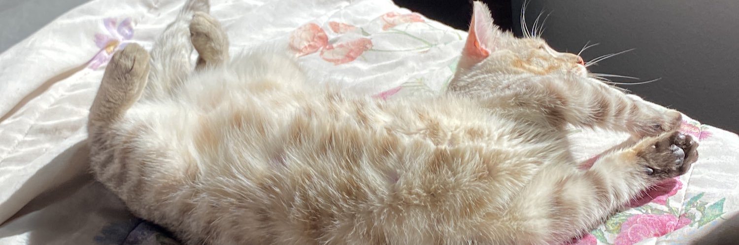natasharxsa's profile banner image