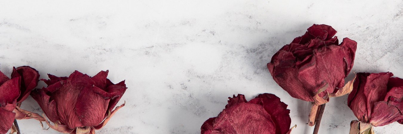 Pokub2's profile banner image