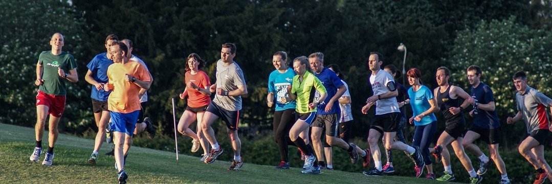 Knaresborough Striders banner