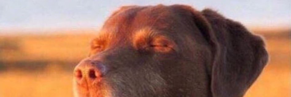 Pac_NOV4's profile banner image