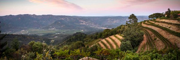 springmountaindistrict Profile Banner