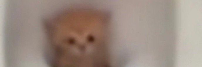 i might knock banner