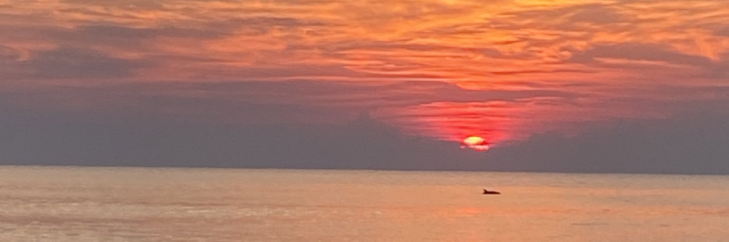 AtlantaSue's profile banner image