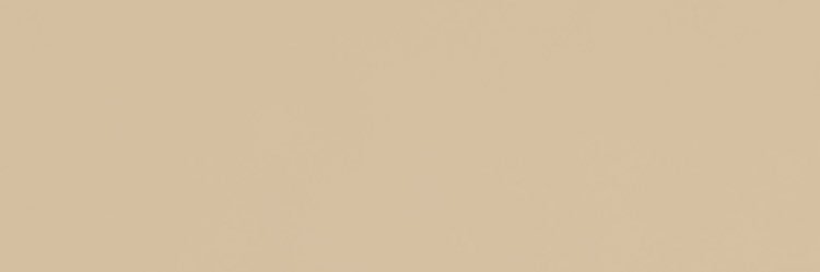 SHEDlDTHAT's profile banner image