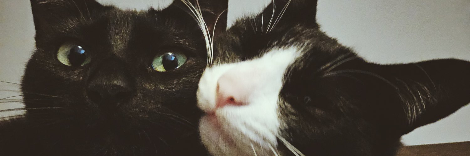 luabtz's profile banner image