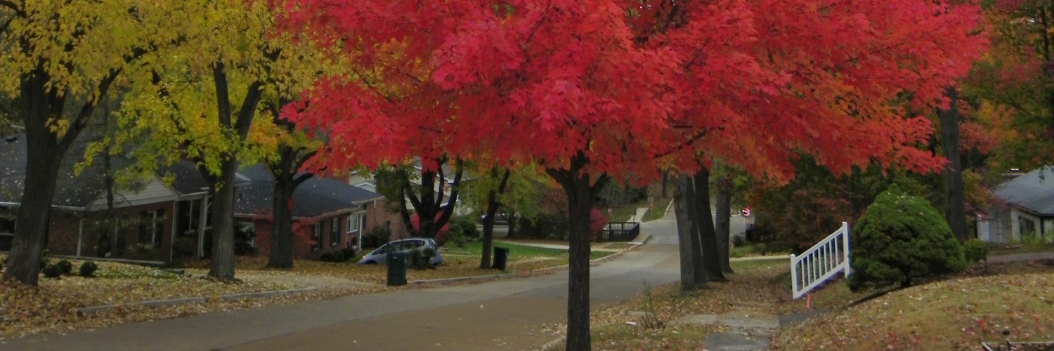 WarsonWoodsMO's profile banner image
