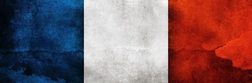 SuineG banner