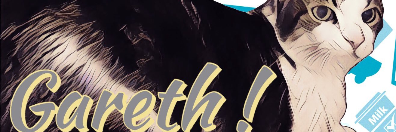 q and ʲᵘˡᶦᵃⁿ 🖤 b.l.m. banner