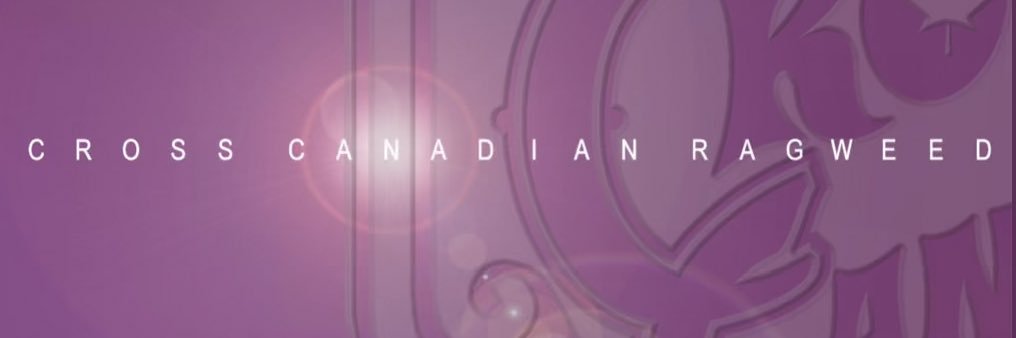 Joey Billfold banner