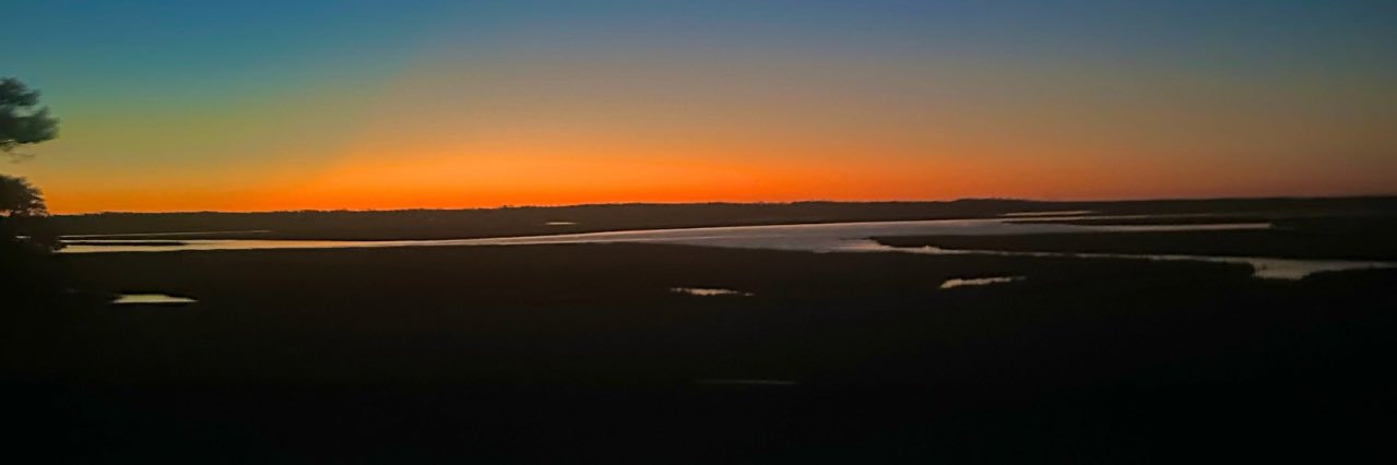 Shayne James banner