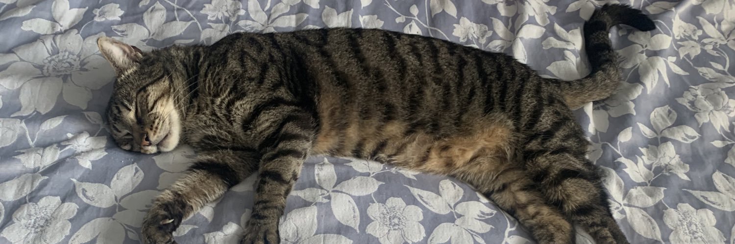 Lolly_MooCat's profile banner image