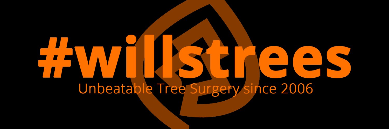 Willstreeserv's profile banner image