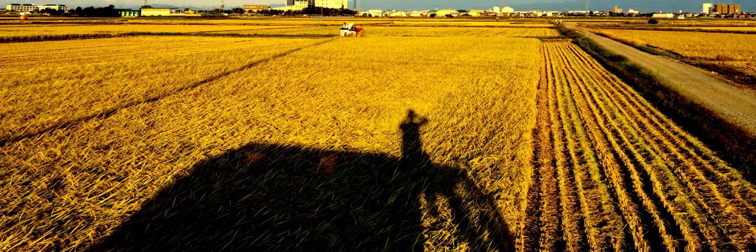 HataTheHungry's profile banner image